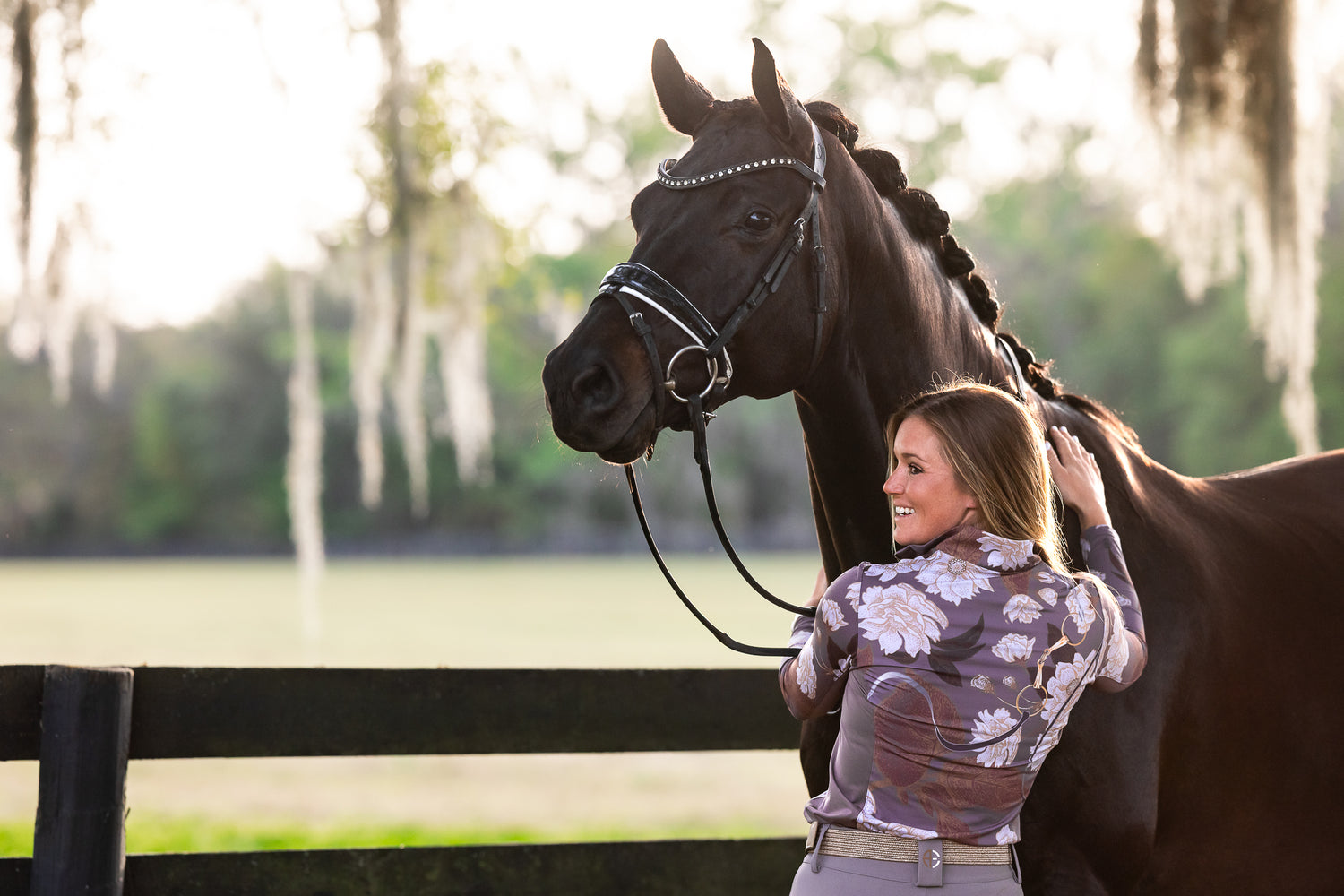 Arista Equestrian