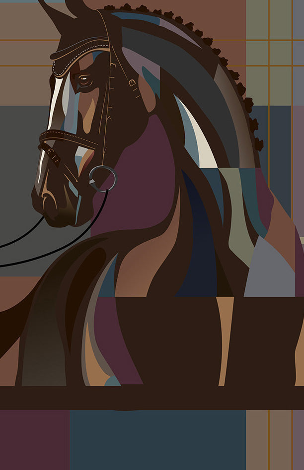 J. ROBBINS  x  Arista Equestrian