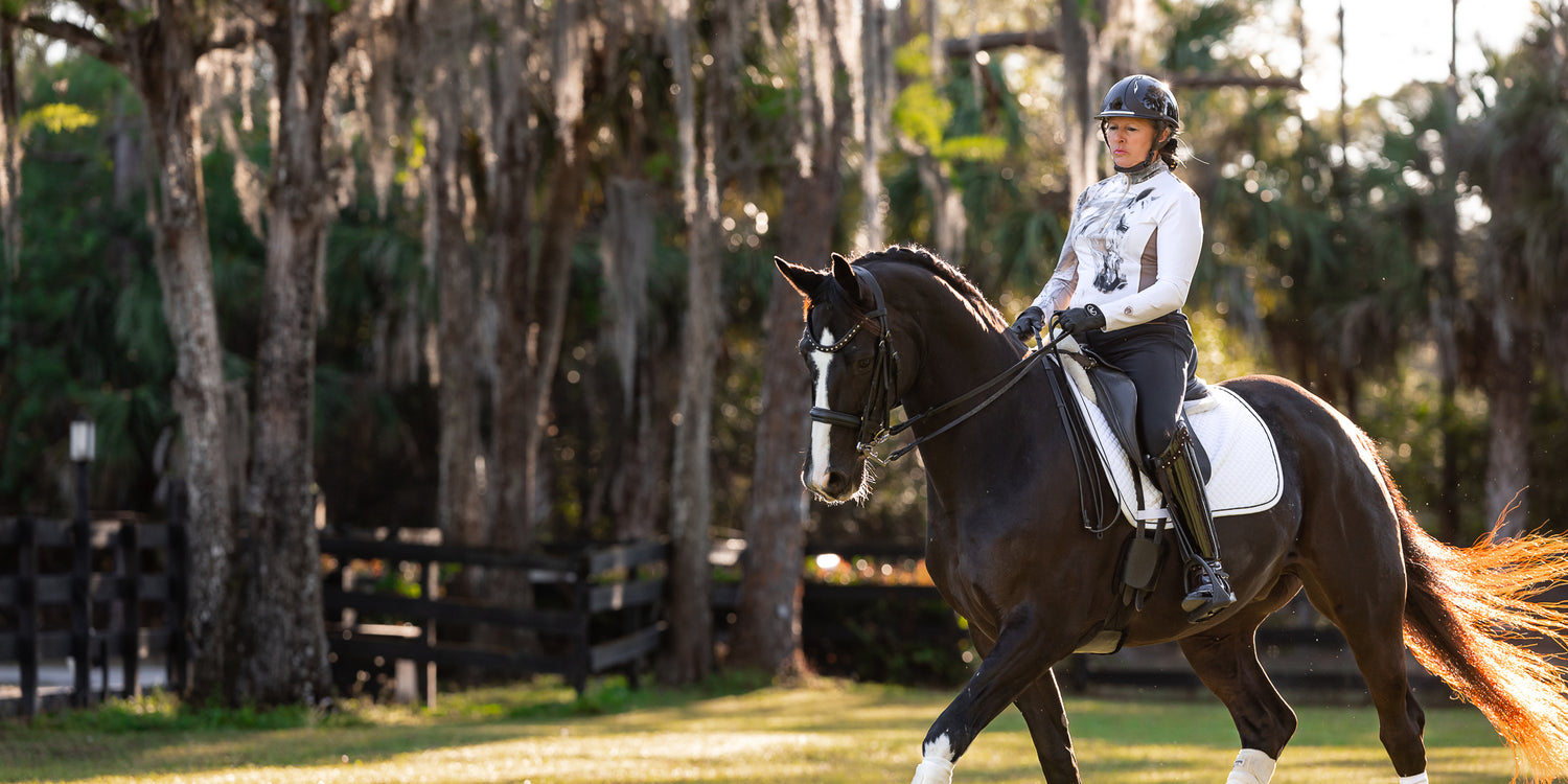 Arista Equestrian